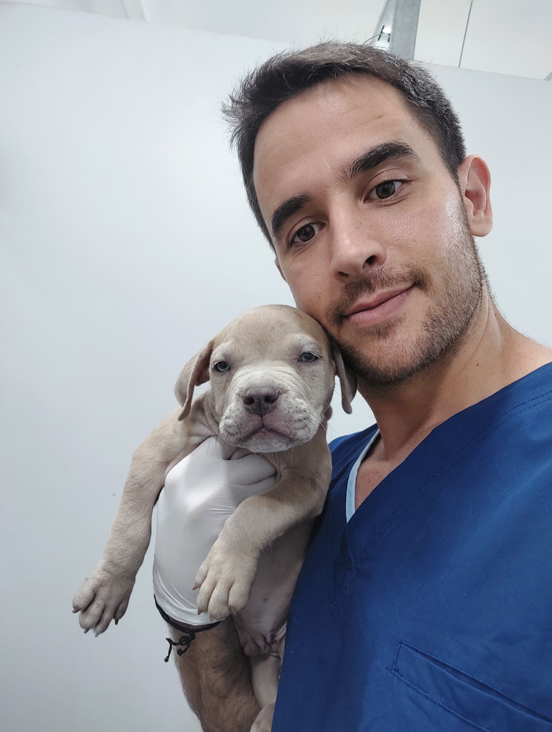 Vacunación suave y sin dolor para cachorros