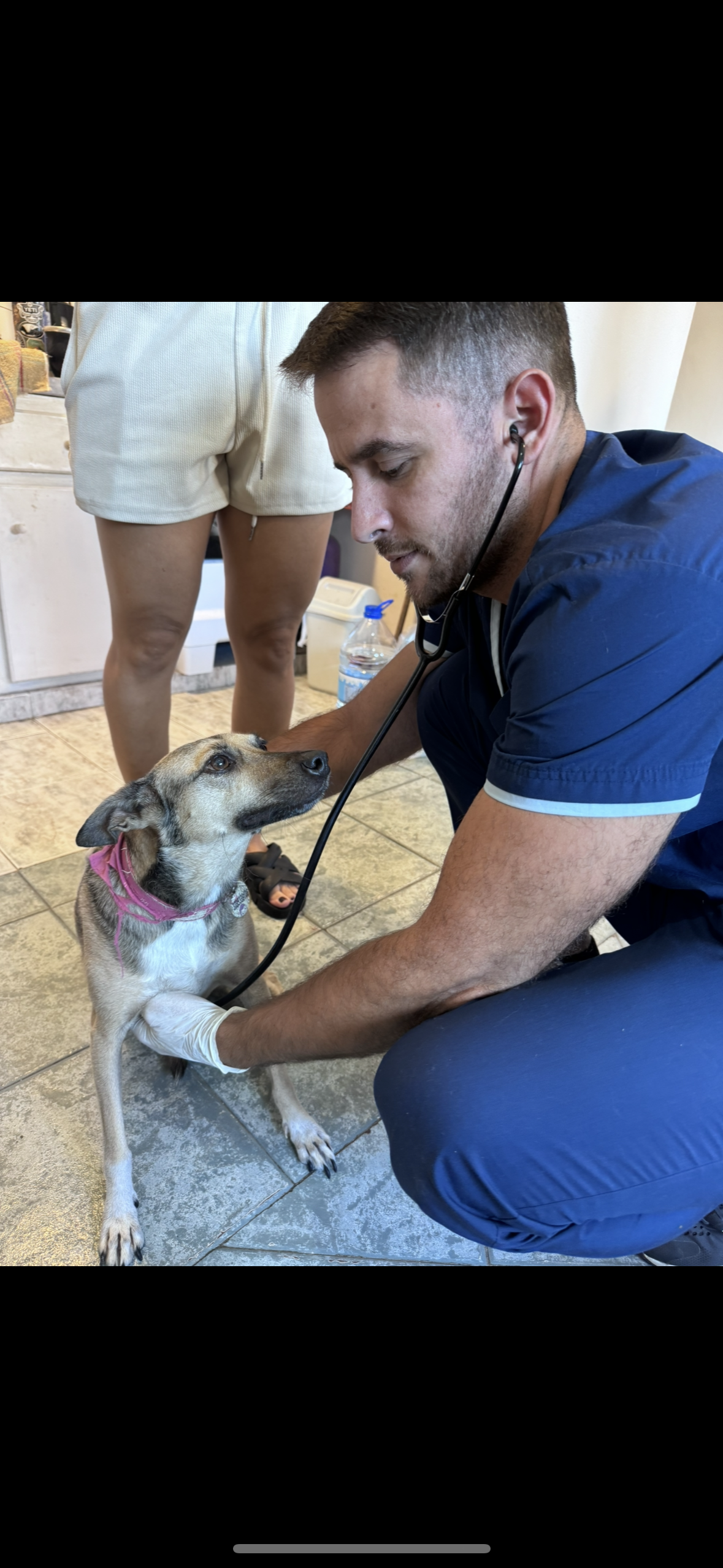 Control médico y chequeo preventivo canino